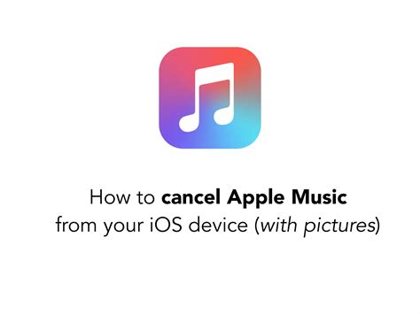 how to delete apple music and its impact on music discovery